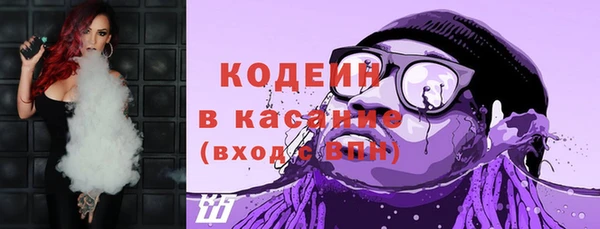 мяу мяу мука Иннополис