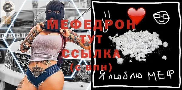 spice Инсар