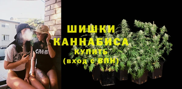 мяу мяу мука Иннополис