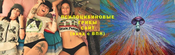 spice Инсар