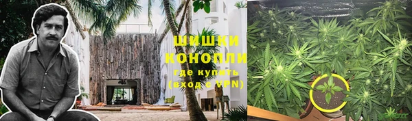 spice Инсар