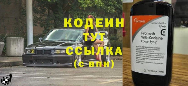 мяу мяу мука Иннополис