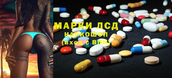 мяу мяу мука Иннополис