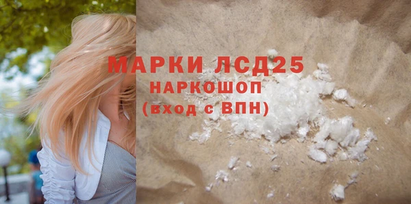 spice Инсар