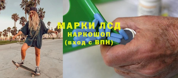 spice Инсар