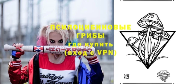 мяу мяу мука Иннополис